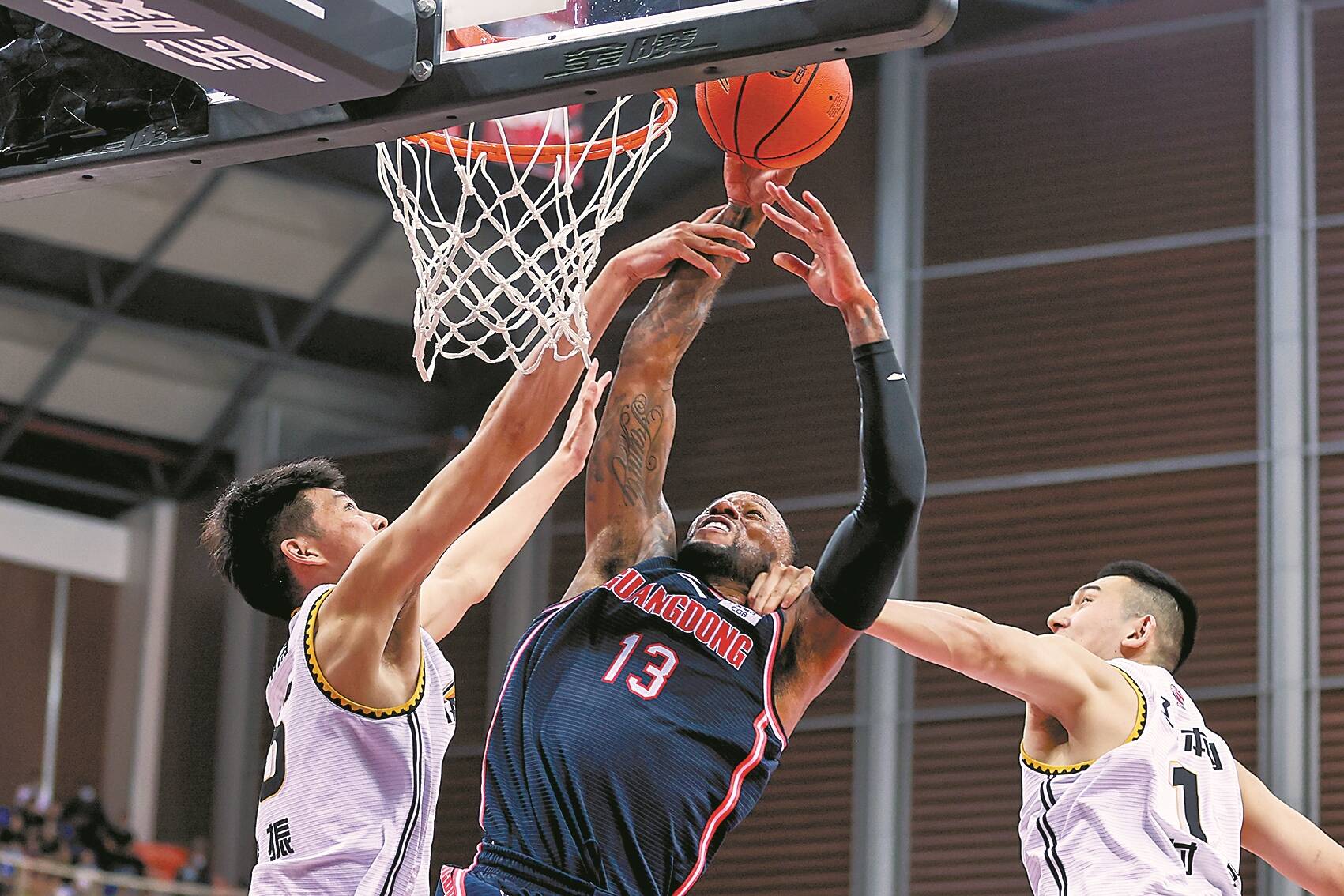 栖息地修复 栖息地修复