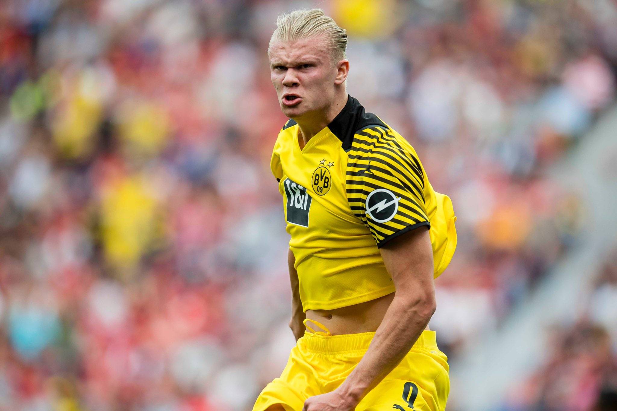 与震动调校 与震动调校